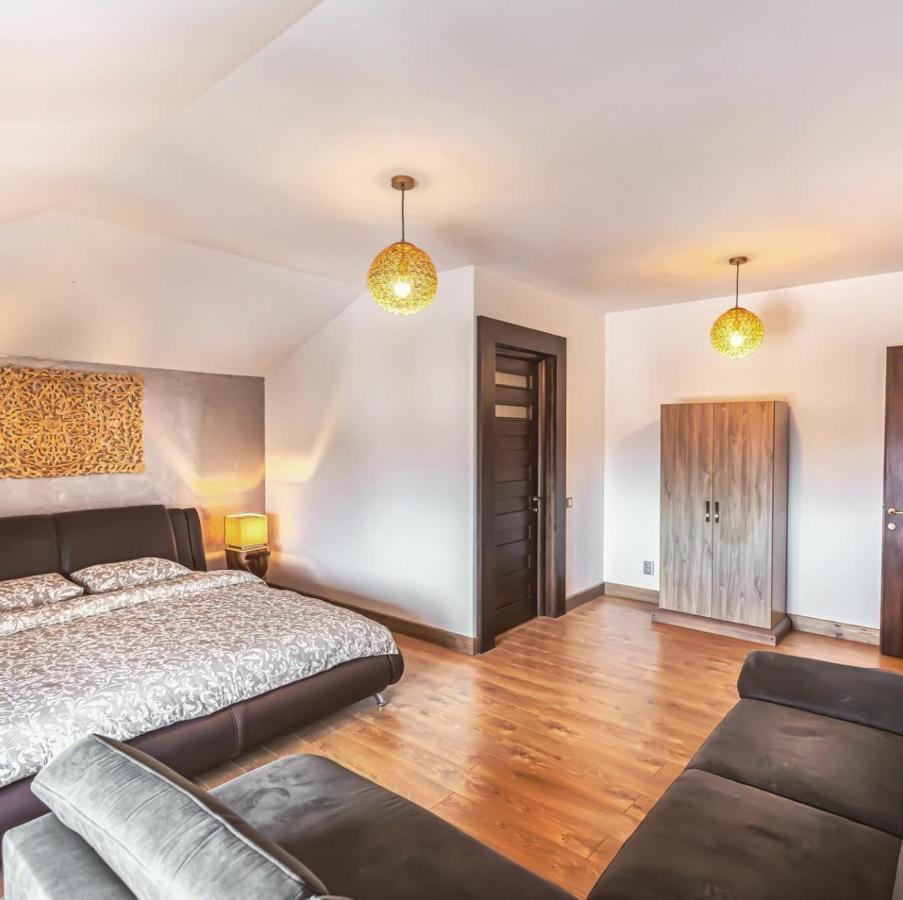 Transilvania Mansion براشوف المظهر الخارجي الصورة