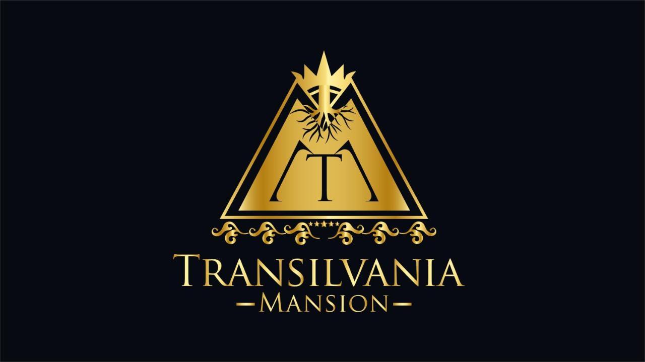 Transilvania Mansion براشوف المظهر الخارجي الصورة