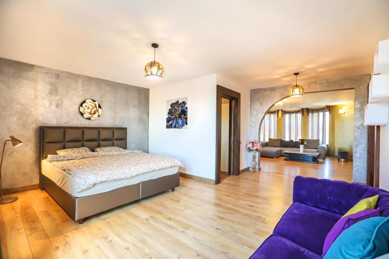 Transilvania Mansion براشوف المظهر الخارجي الصورة