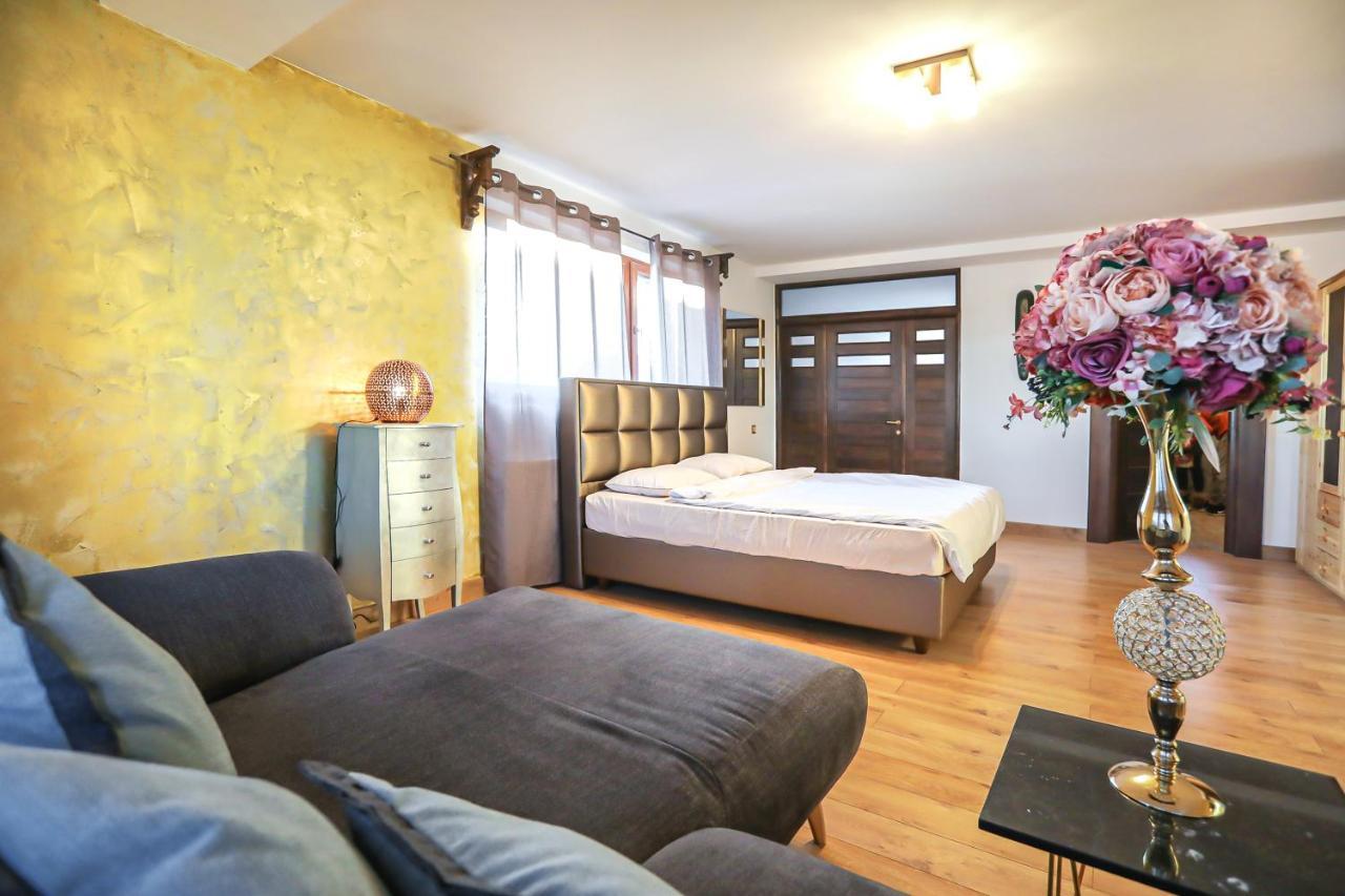 Transilvania Mansion براشوف المظهر الخارجي الصورة